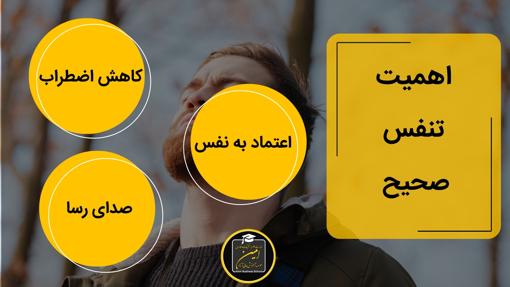 فن بیان مشاوران املاک